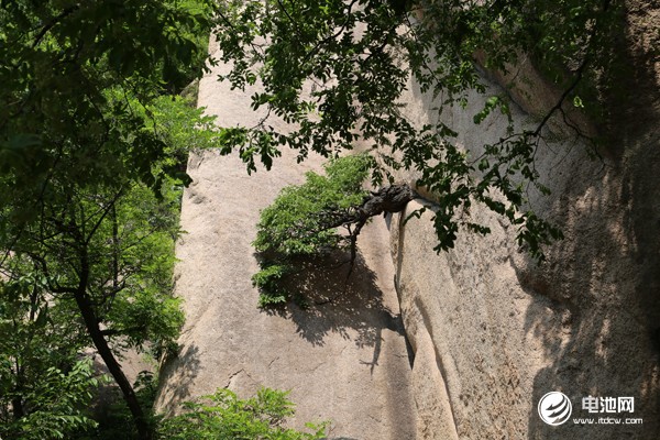 電池百人會(huì)“問道”嵖岈山與會(huì)嘉賓參觀游覽嵖岈山 探尋新能源發(fā)展“真經(jīng)”