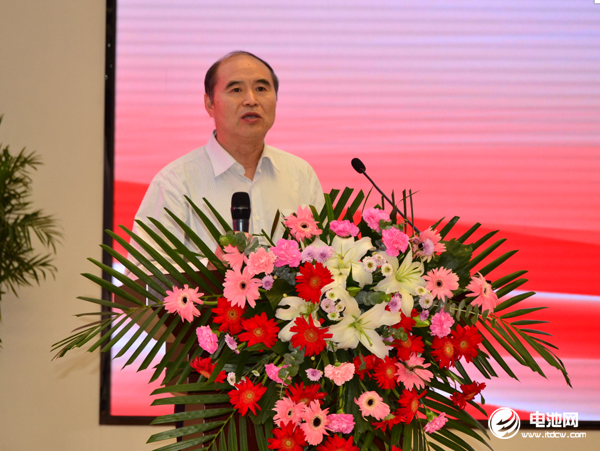 原國(guó)家能源局副局長(zhǎng)吳吟致辭