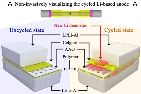圖：無損、原位同步輻射X射線三維成像技術研究鋰金屬電極工作機制