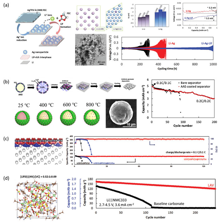 寧波材料所在高比能鋰金屬負(fù)極保護(hù)方面取得系列進(jìn)展