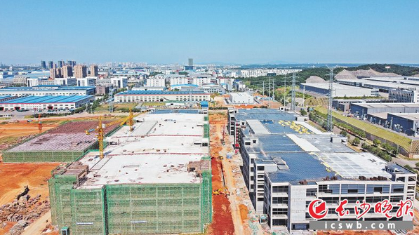 總投資約100億元 比亞迪“刀片電池”年底長沙寧鄉造