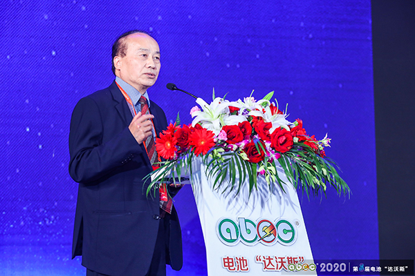 加拿大國家工程院院士/加拿大皇家科學院院士/上海大學可持續能源研究院院長張久俊