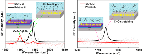 圖4.原位SFG對SEI作用機制研究