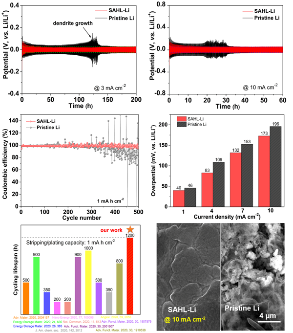 圖3.有序雙層SAHL SEI層修飾鋰金屬電極的電化學穩(wěn)定性