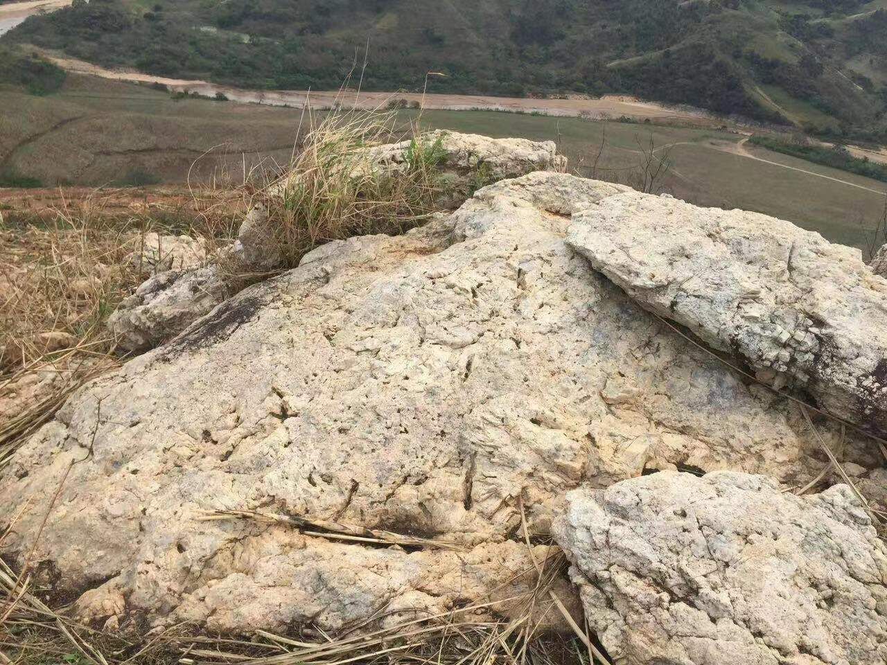 鋰輝石   電池網(wǎng)資料圖片