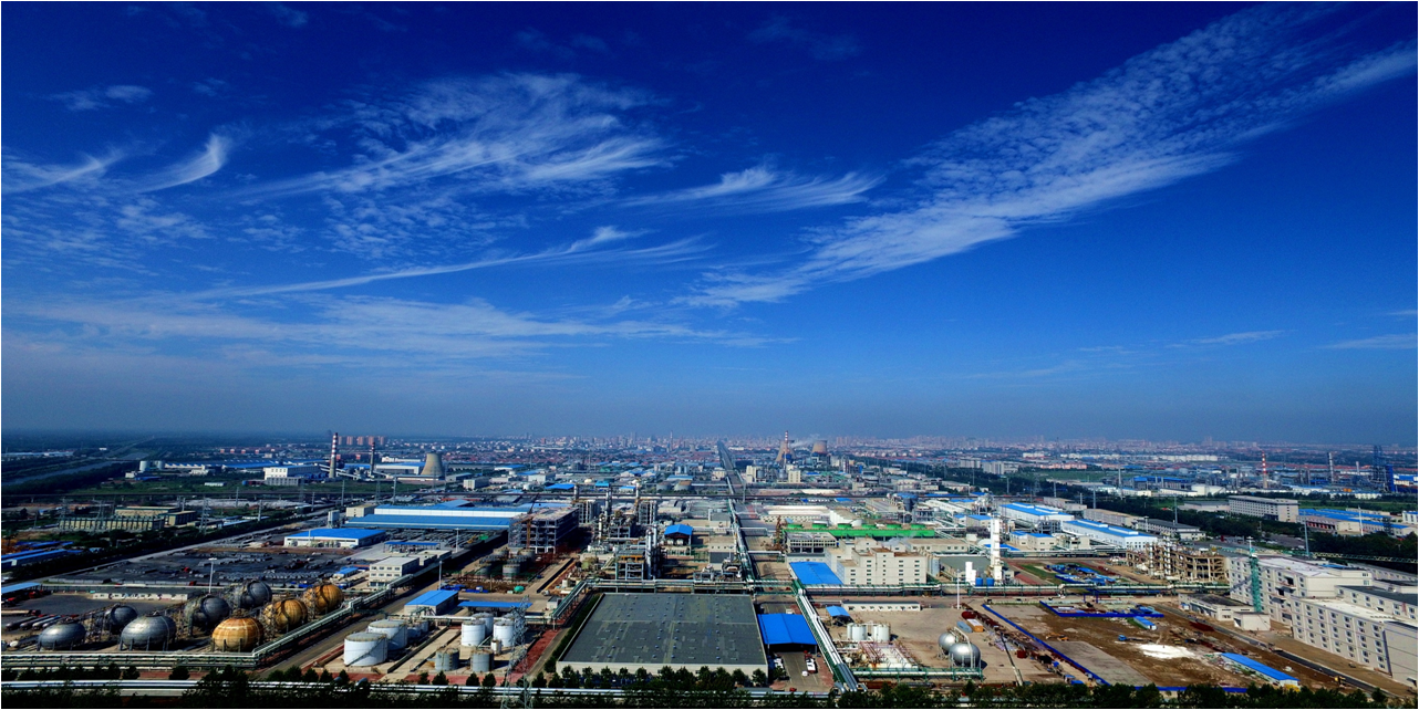 濱化集團股份有限公司