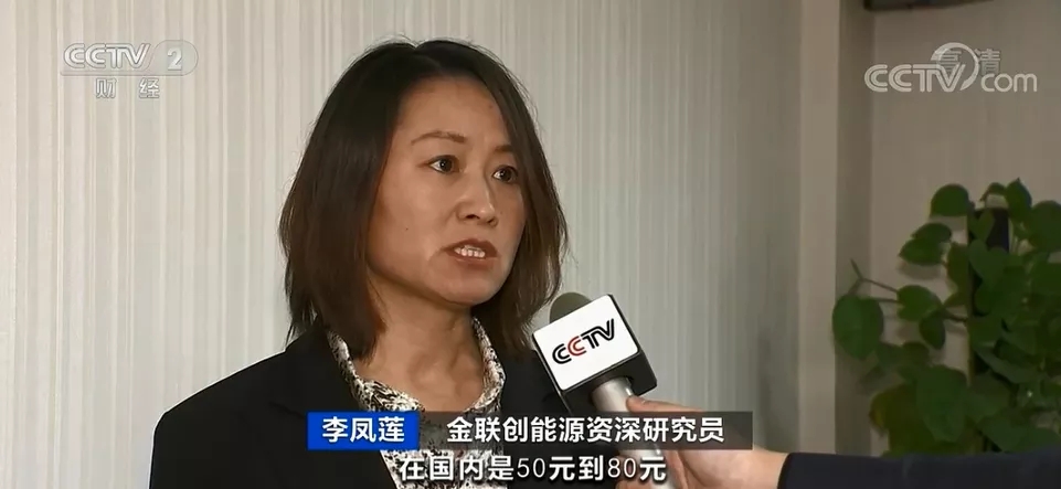 金聯創能源資深研究員 李鳳蓮