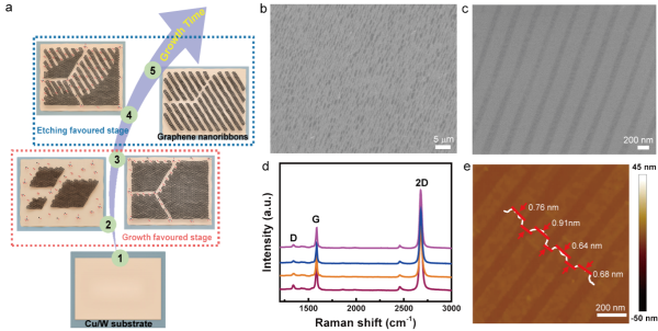 CVD方法原位生長的的石墨烯納米帶