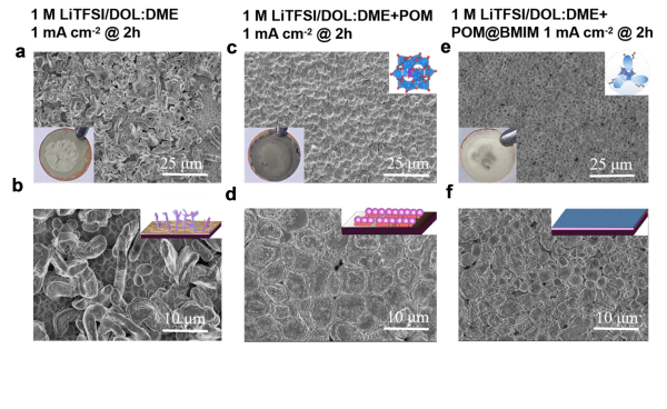 上海硅酸鹽所鋰金屬電池雙功能電解液設(shè)計研究獲進展