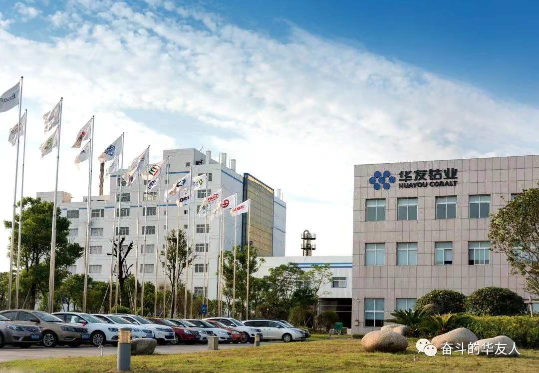 圖片來源：華友鈷業