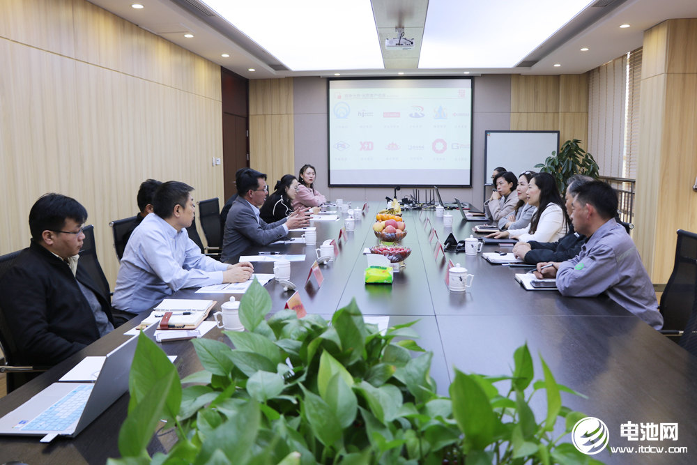 中國電池新能源產業鏈調研團一行參觀考察天馬新材
