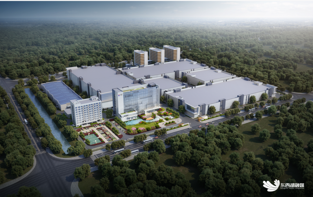 圖片來源：東西湖區融媒體中心