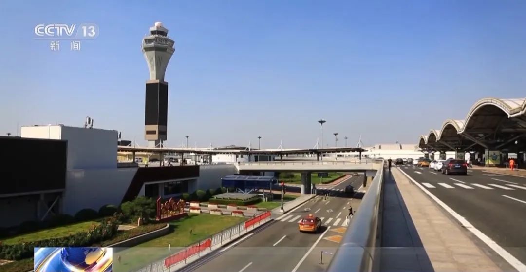 新能源車輛租賃訂單同比漲超3倍！“主力軍”竟是90后、00后…