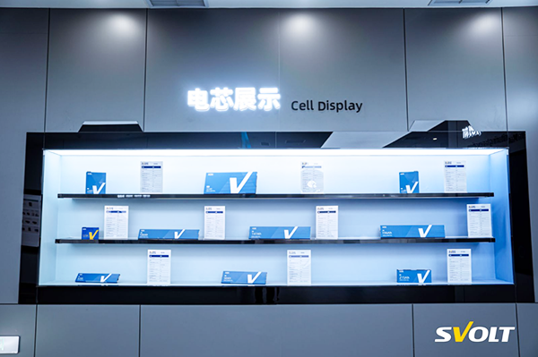 飛疊+短刀+快充 蜂巢能源第四屆電池日楊紅新再談行業內卷