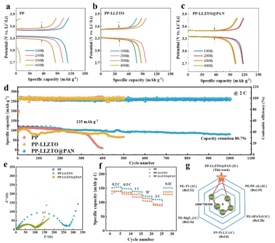 鋰金屬電池循環性能