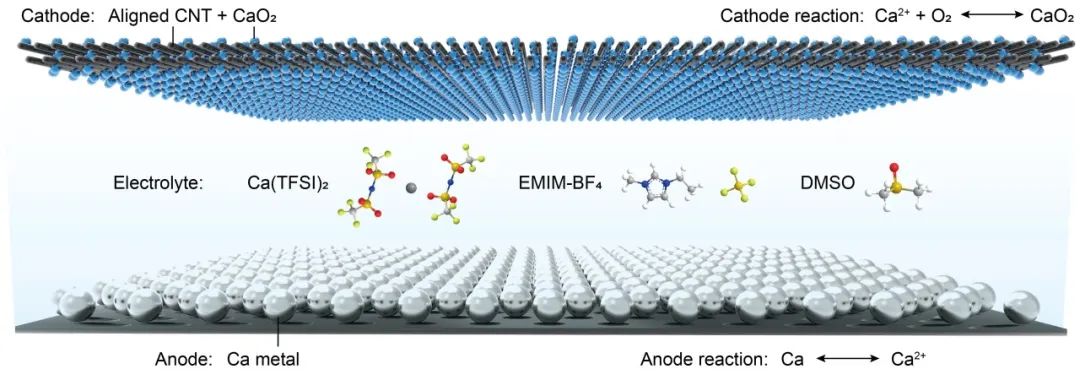 圖1. 鈣-氧氣電池結構示意圖