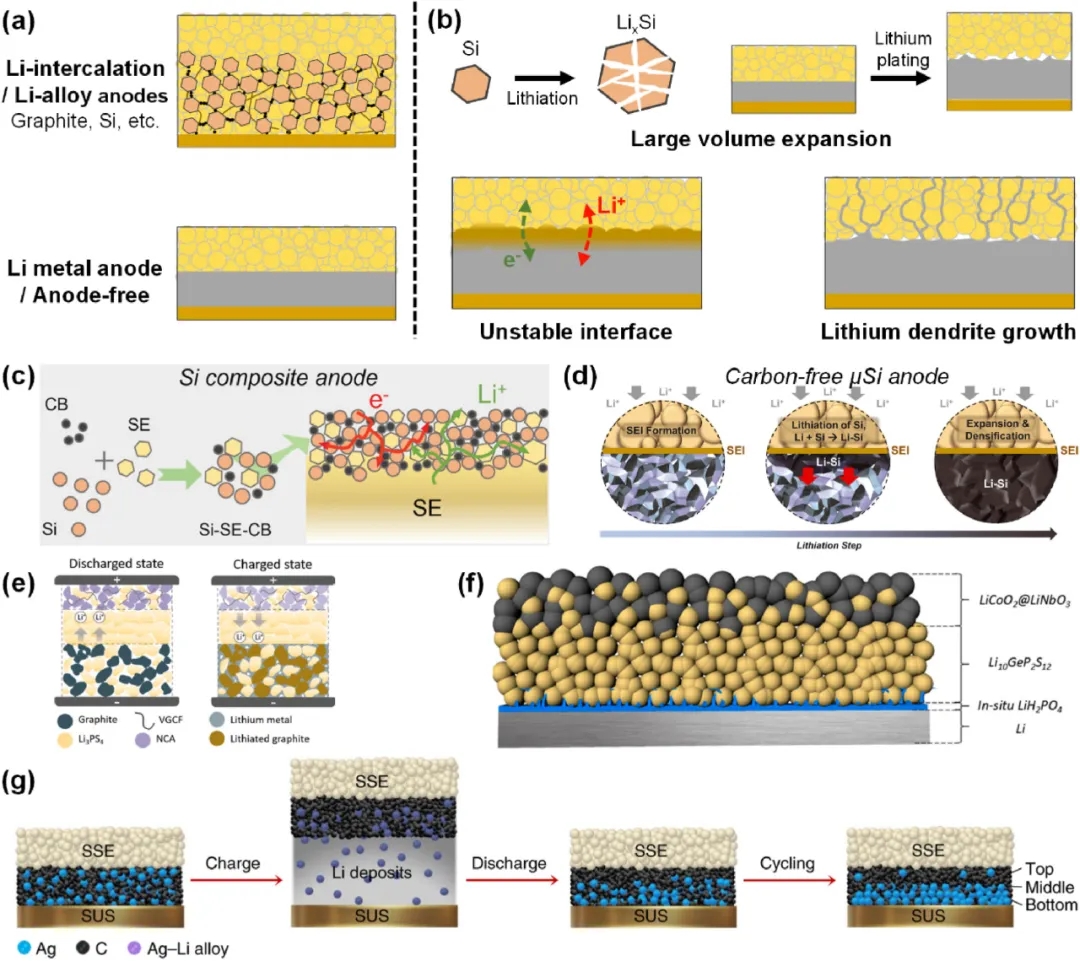 圖5 硫化物基ASSB高比容負(fù)極存在的問題及最新進(jìn)展。