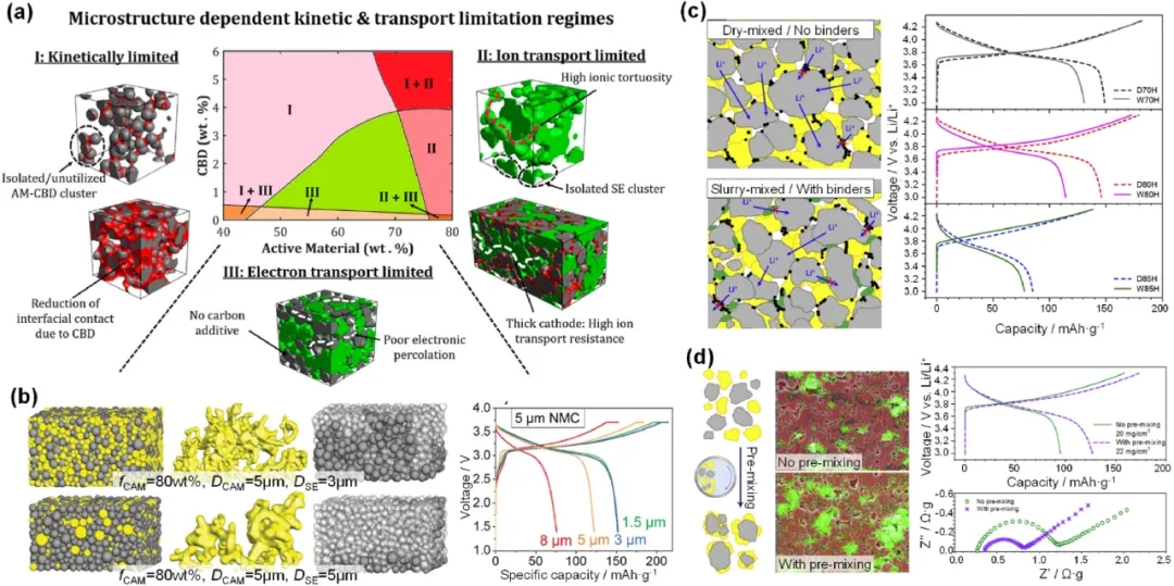 圖11 影響ASSB復合電極內輸運動力學的關鍵因素。