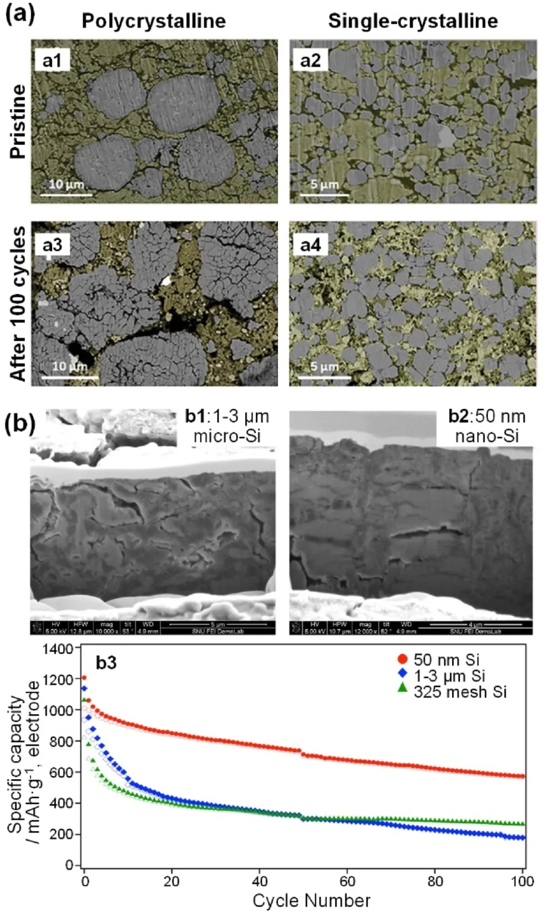 圖12 硫化物基ASSB的機械失效。