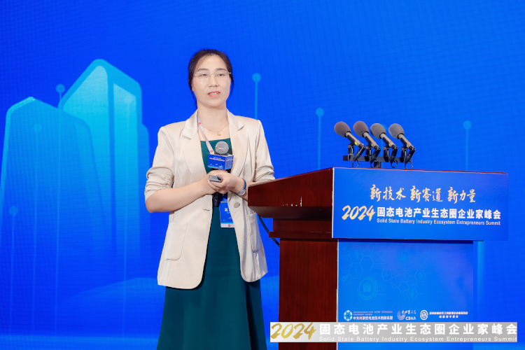 諾德新材料股份有限公司研究院院長、博士丁瑜