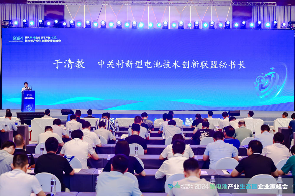2024中國（無錫）鈉電池產業生態圈企業家峰會現場
