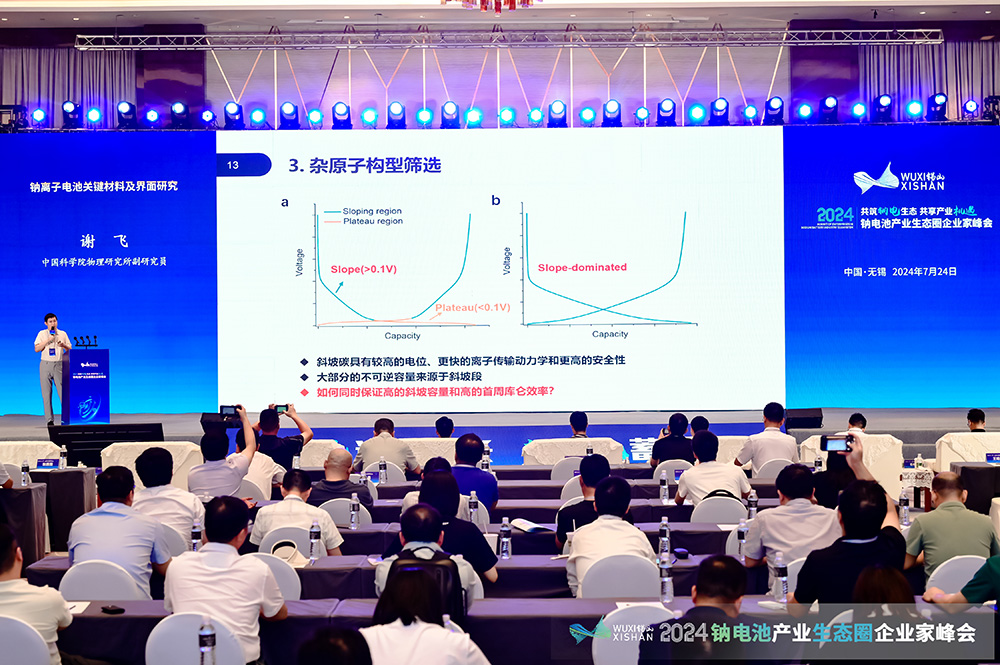 2024中國（無錫）鈉電池產業生態圈企業家峰會現場