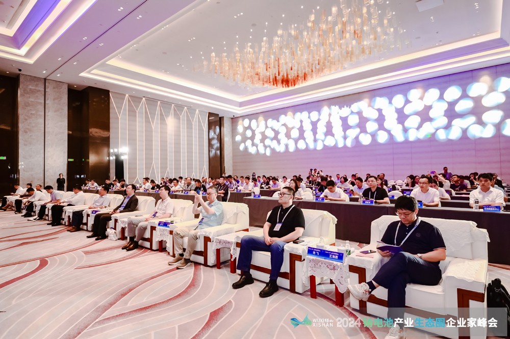 2024中國（無錫）鈉電池產業生態圈企業家峰會