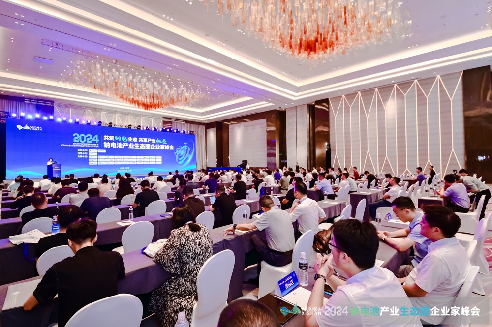 2024中國（無錫）鈉電池產業生態圈企業家峰會