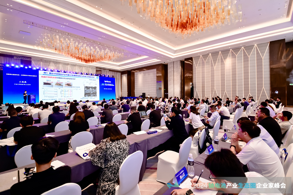 風口?風險?千億級鈉電池賽道如何突圍?