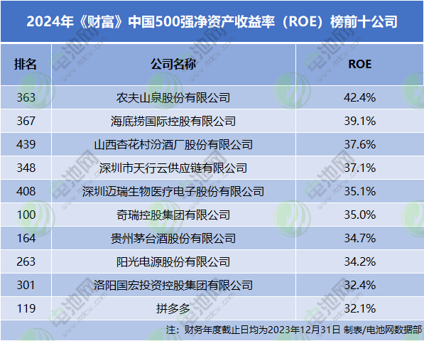 2024年《財富》中國500強凈資產收益率(ROE)榜前十公司 2024年《財富》中國500強凈資產收益率(ROE)榜前十公司