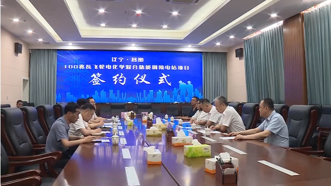 儲能,電化學儲能,東坤資產