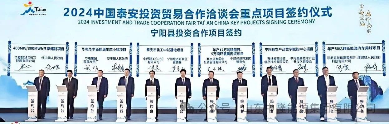 電化學儲能,儲能,磷酸鐵鋰