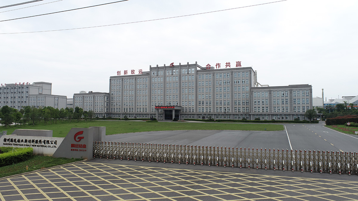 騰遠(yuǎn)鈷業(yè)