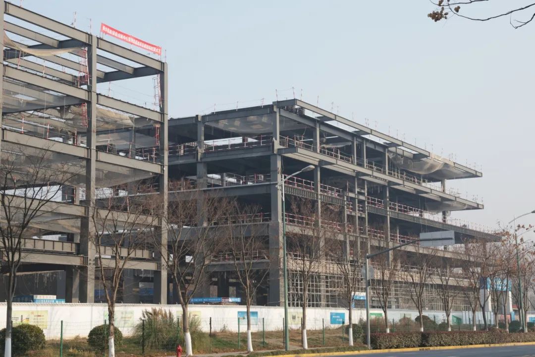 圖片來源：上海嘉定