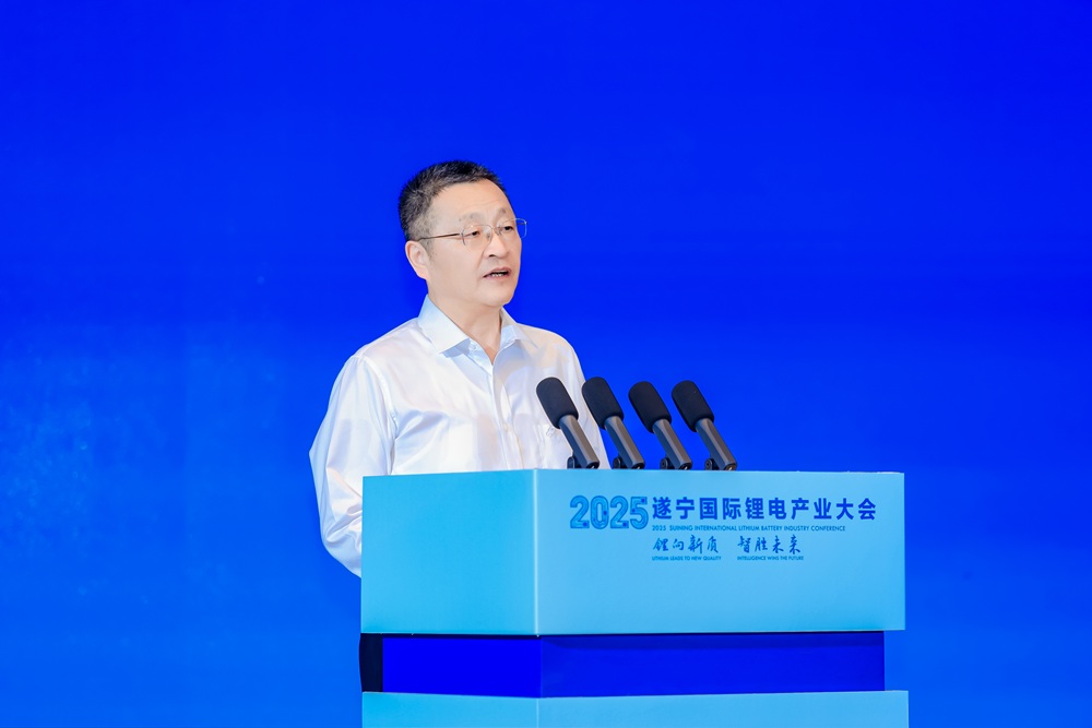 葛紅林:暴利時代終結 四大方向破局鋰電原材料“修復期”